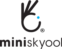 miniskyool